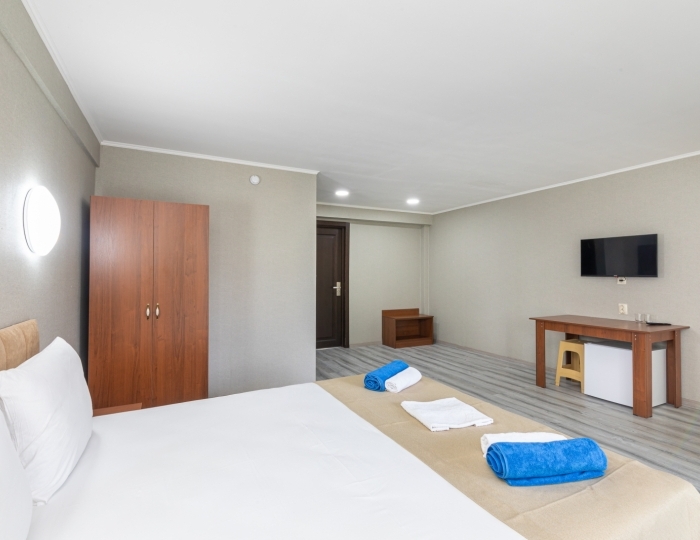 Стандарт 2-местный 1-комнатный без балкона - Отель «Страна души» Сухум